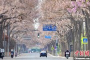 巴彦淖尔共建“花园城市” 北京这场议政会“百花齐放”