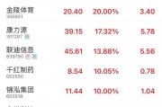 巴彦淖尔“苏超”爆火！300651，“20cm”涨停