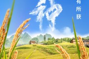 巴彦淖尔芒种节气小知识来了 夏种作物都有什么？
