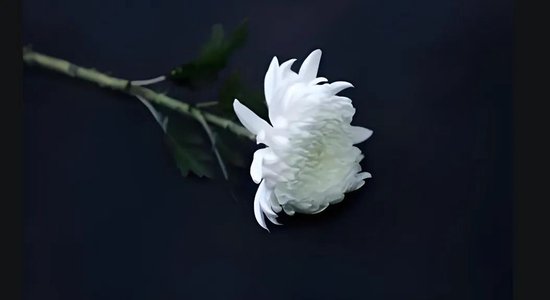 噩耗！证监会前副主席、深交所前理事长陈东征去(😘)世！
